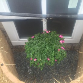 Maryland Egress Window